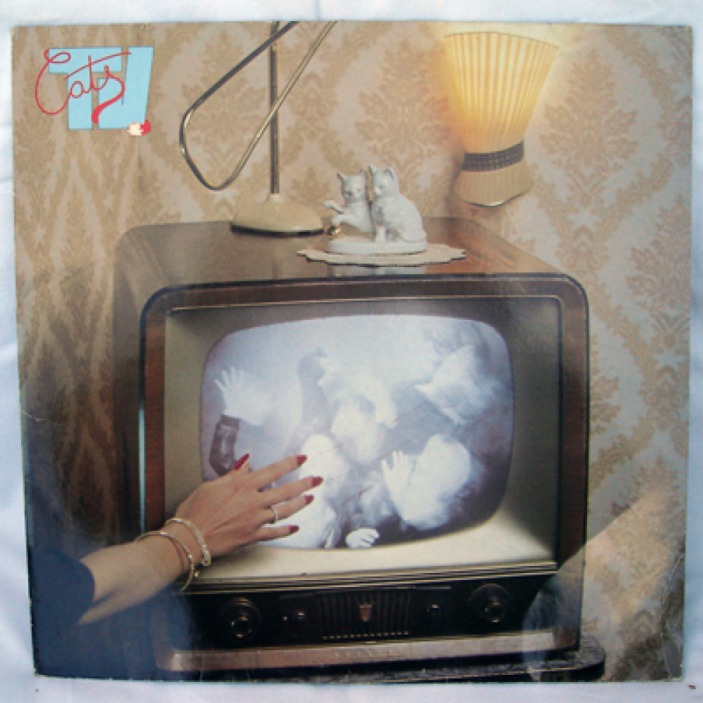 Cat's TV - Cat's Tv